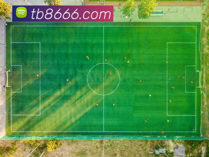 天博tb体育官网APP 高清赛事图